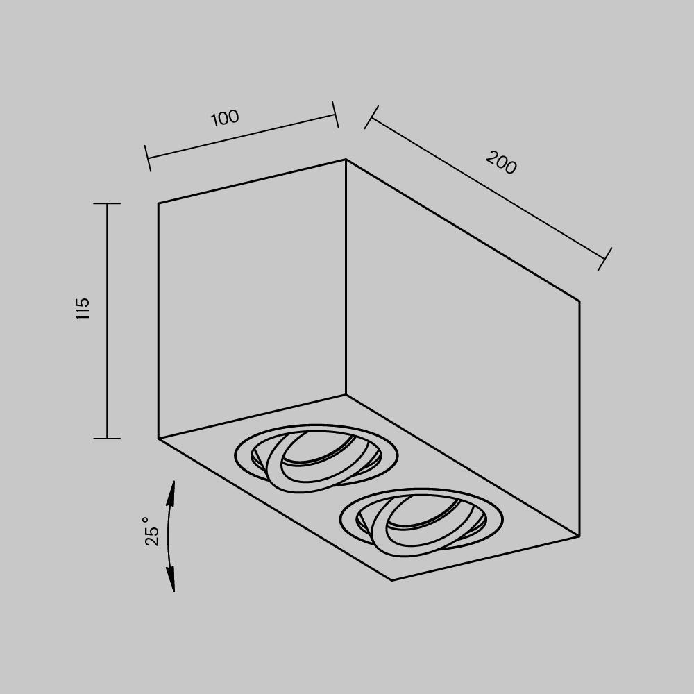 Потолочный светильник Technical C017CL-02B Потолочный светильник Technical C017CL-02B