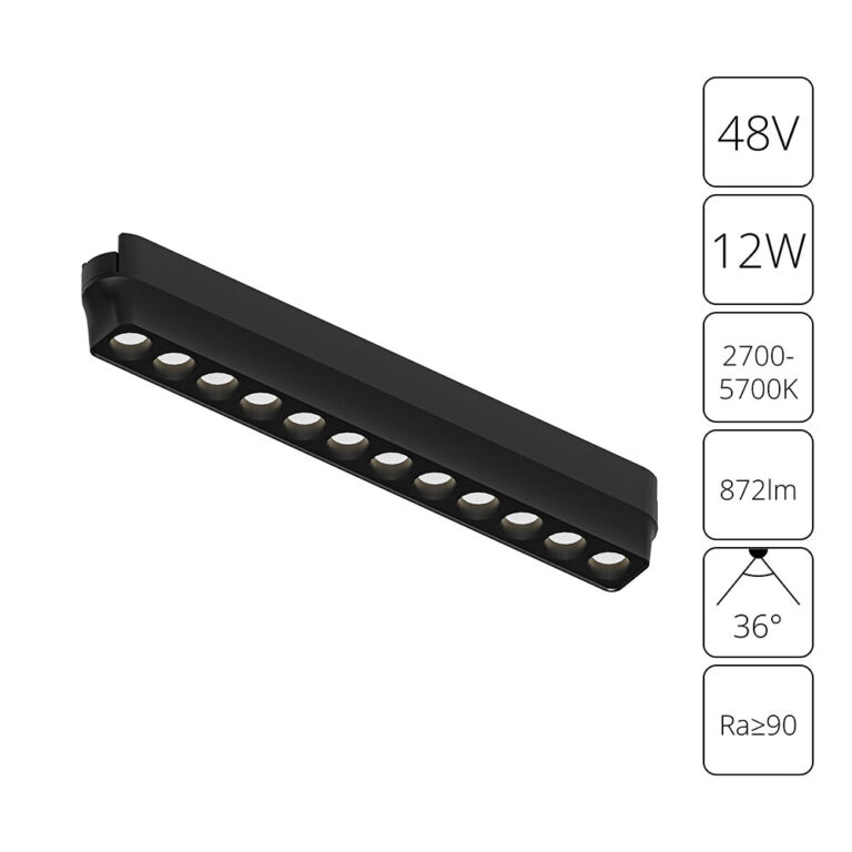 a2954pl-1bk